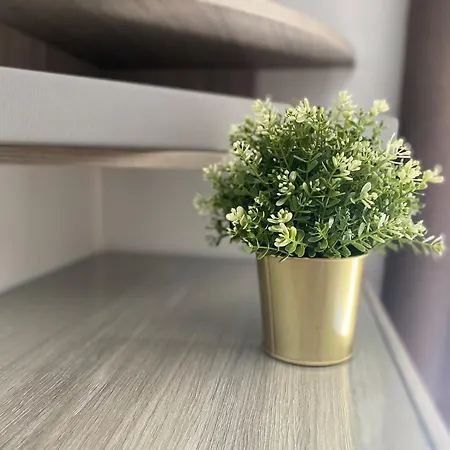 Avalon Apartment